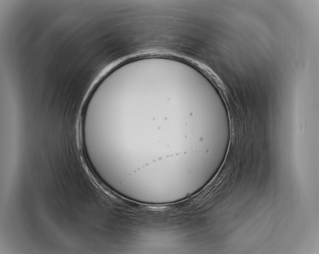 X0000111441295200907131013
