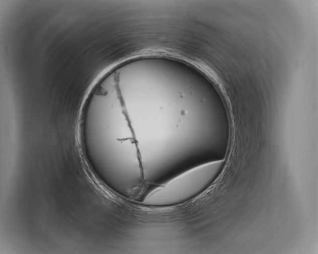 X0000111441296200907131013