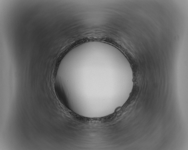 X0000111441297200907131012