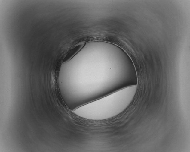 X0000111441298200907131012