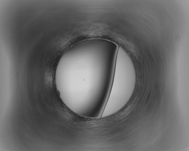 X0000111441300200907131012