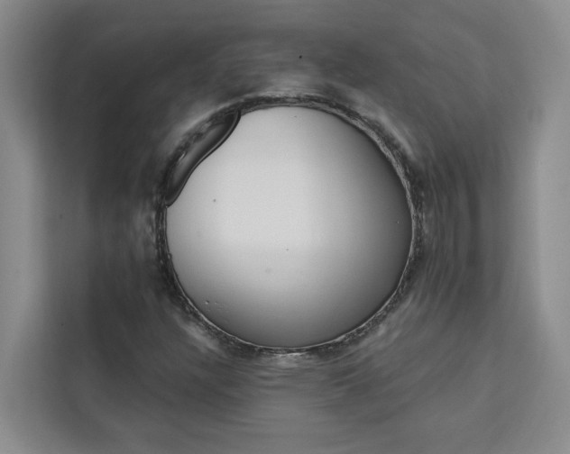 X0000111441304200907131012