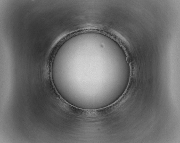 X0000111441310200907131012