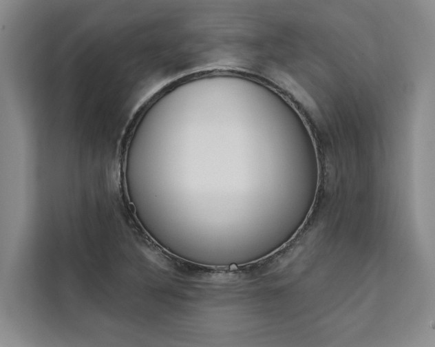 X0000111441316200907131013