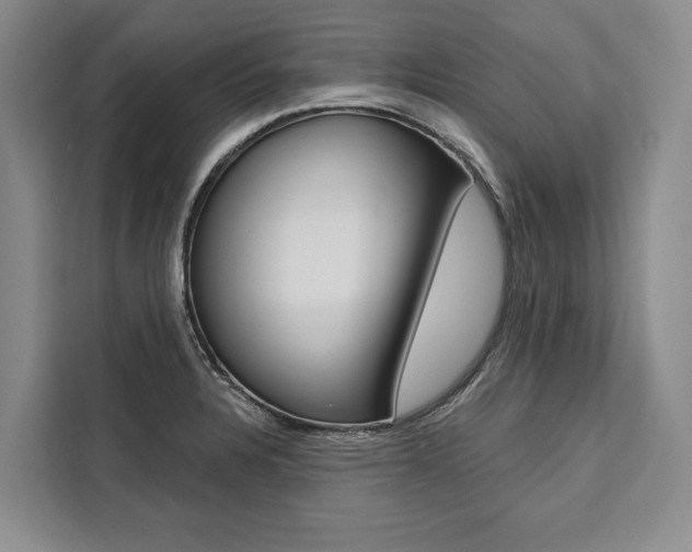 X0000111441328200907131013
