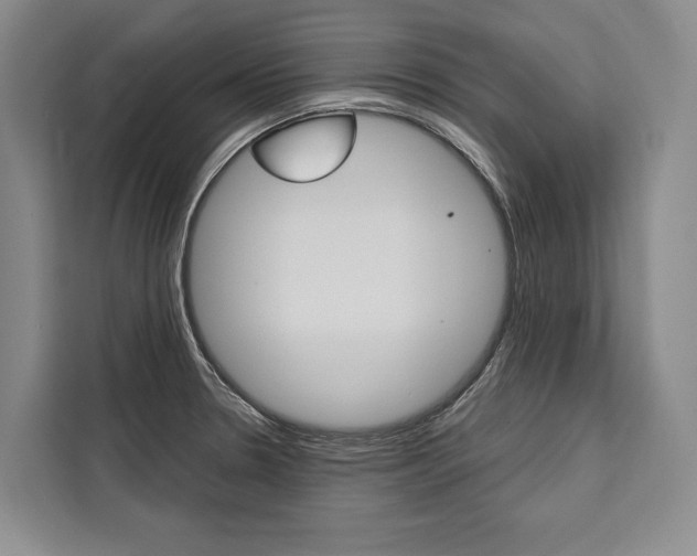 X0000111441330200907131013