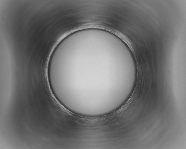 X0000111441334200907131013