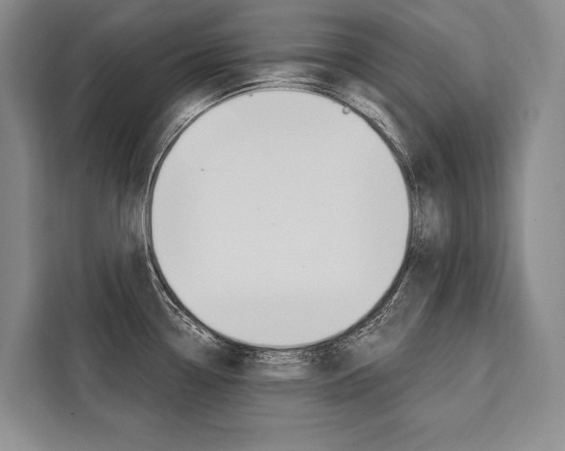 X0000111441338200907131013