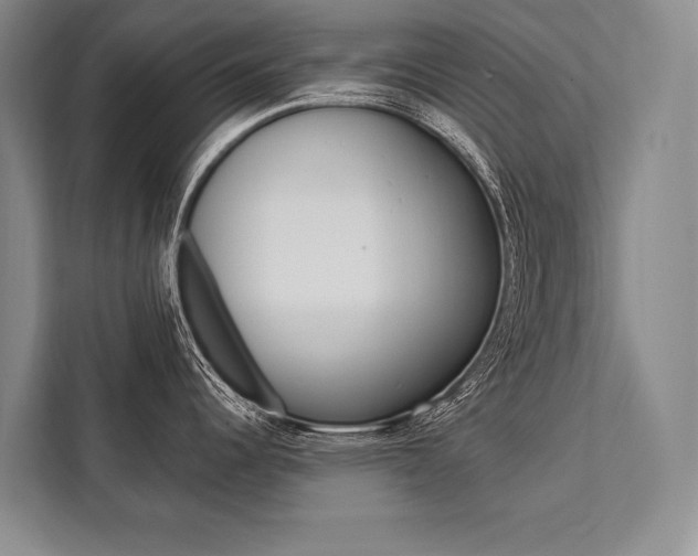 X0000111441344200907131013