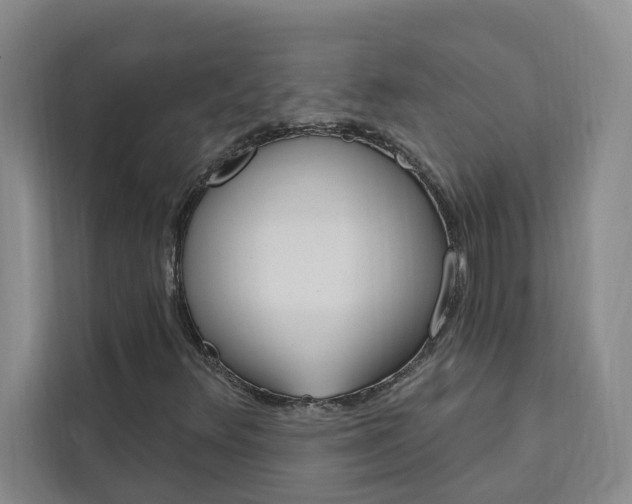 X0000111441348200907131012
