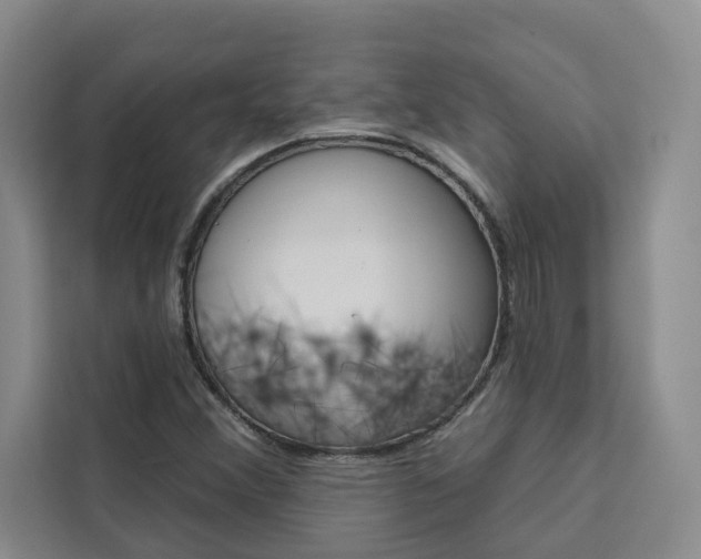 X0000111441356200907131012