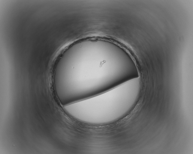 X0000111441359200907131012