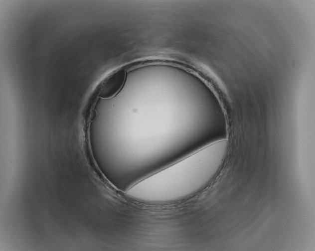X0000111441360200907131012