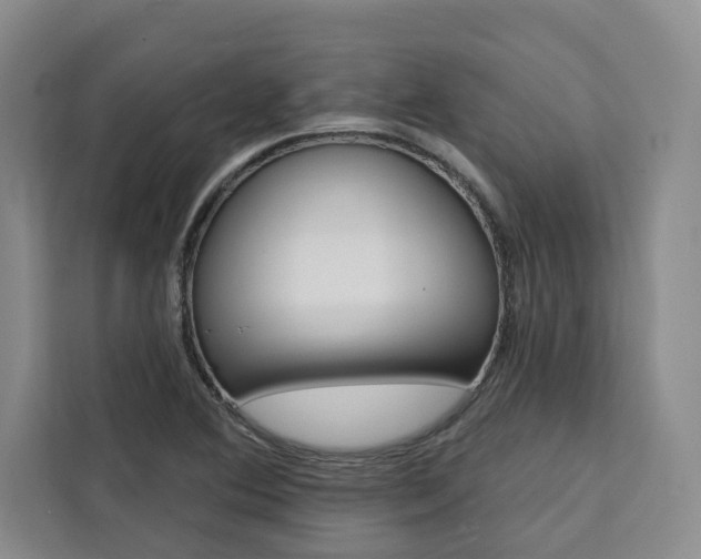 X0000111441364200907131012