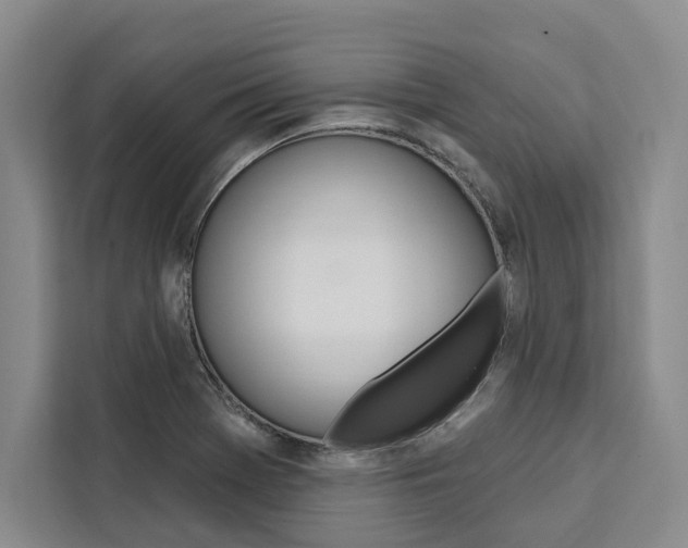 X0000111441369200907131012