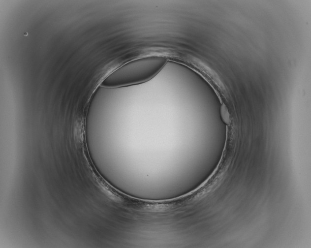 X0000111441377200907131012