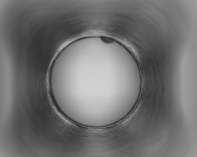 X0000111441382200907131012