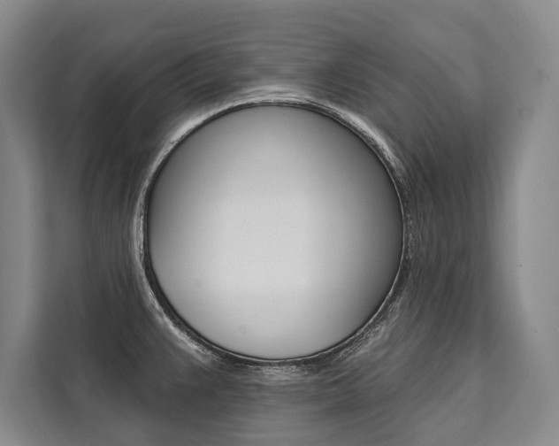 X0000111441383200907131012
