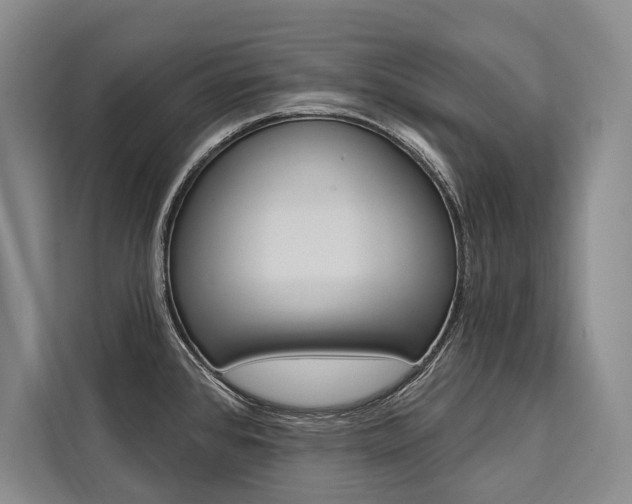 X0000111441384200907131012