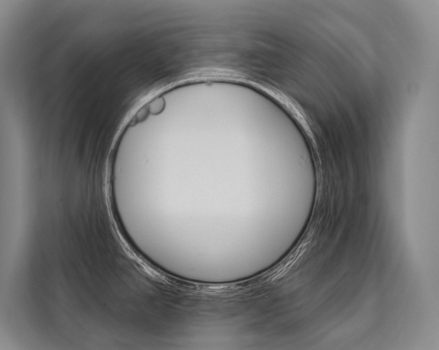 X0000111441390200907131012