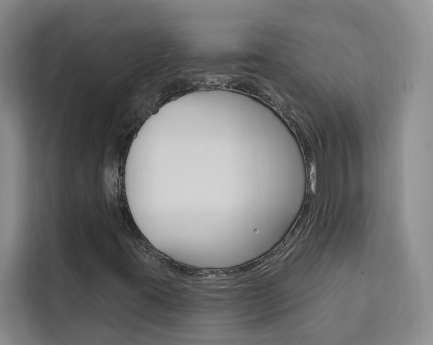X0000111441395200907131011