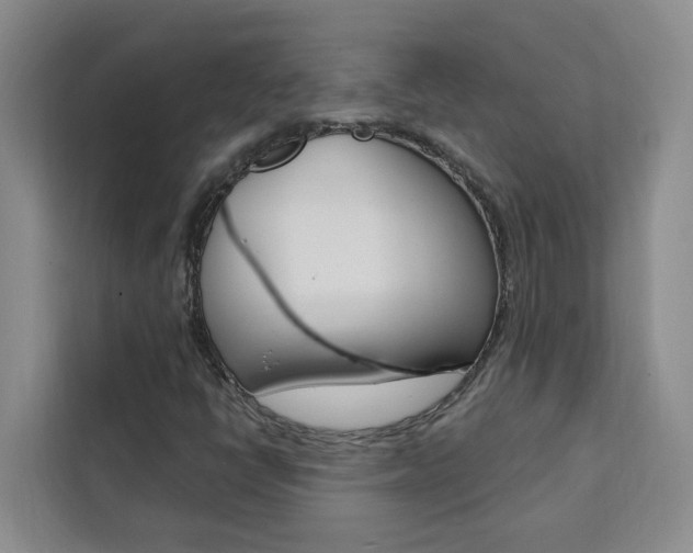 X0000111441398200907131011