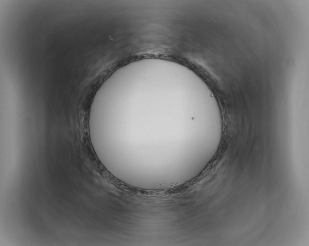 X0000111441399200907131011