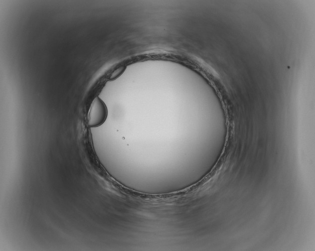 X0000111441400200907131011