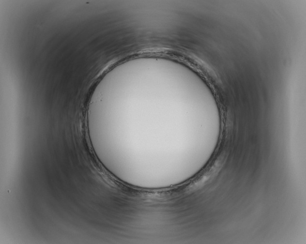 X0000111441401200907131011