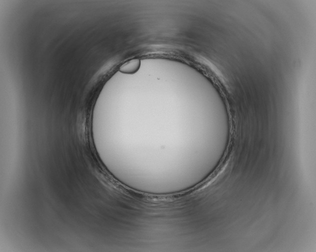 X0000111441403200907131011