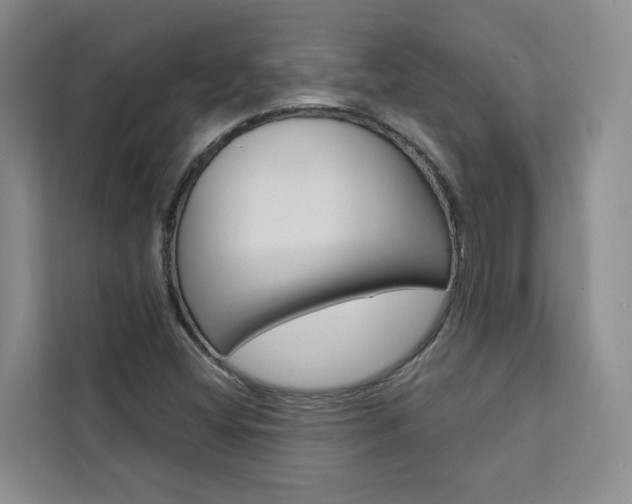 X0000111441404200907131011