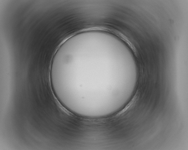 X0000111441417200907131011
