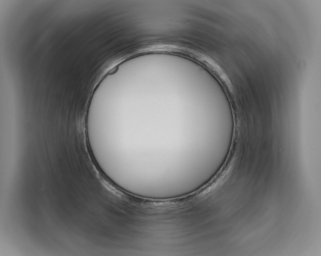 X0000111441425200907131011