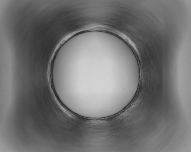 X0000111441429200907131012