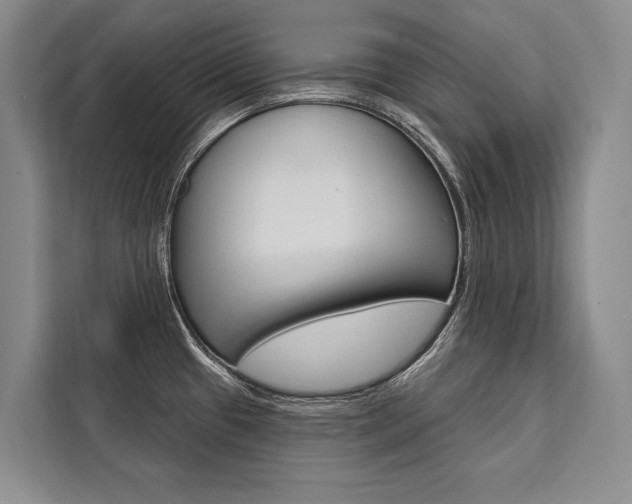X0000111441433200907131012