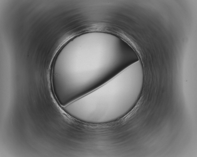 X0000111441434200907131012