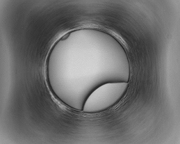 X0000111441439200907131012