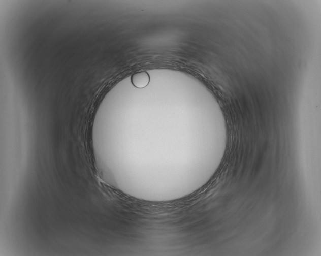 X0000111441441200907131011
