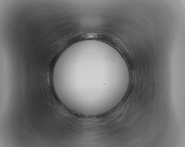 X0000111441442200907131011