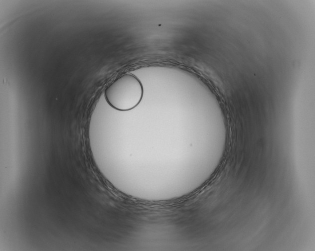 X0000111441445200907131011