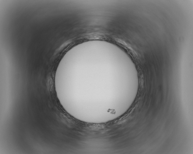 X0000111441446200907131011