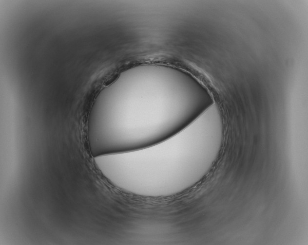 X0000111441447200907131011