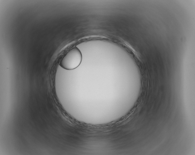 X0000111441448200907131011
