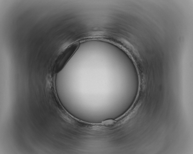 X0000111441449200907131011