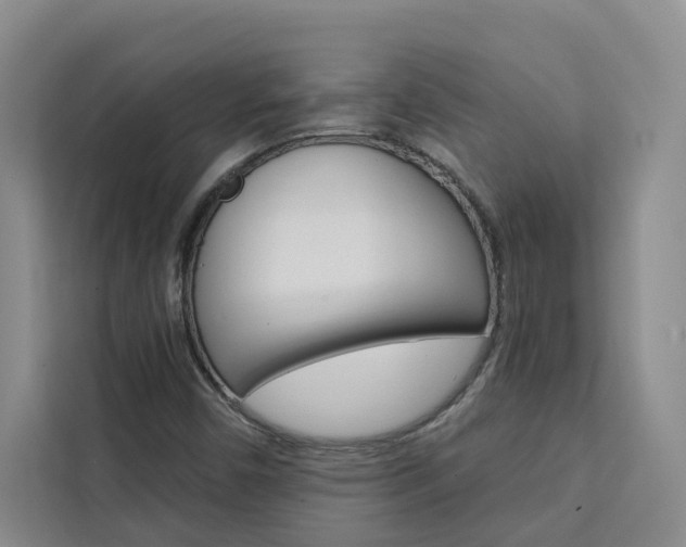 X0000111441450200907131011