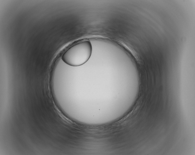 X0000111441452200907131011
