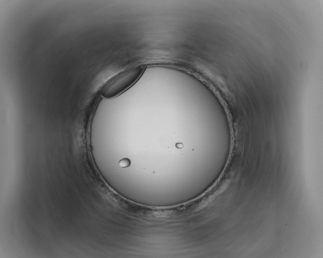 X0000111441453200907131011