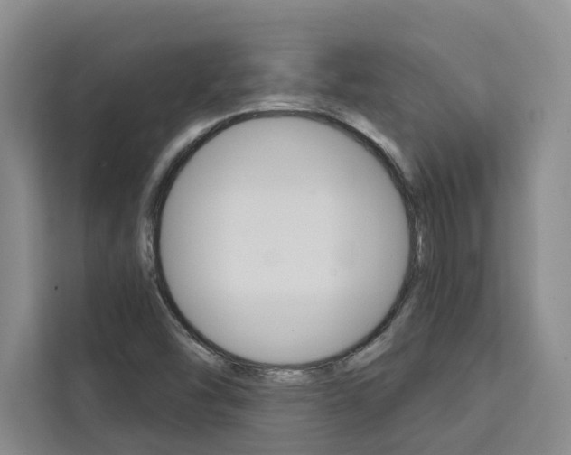 X0000111441454200907131011