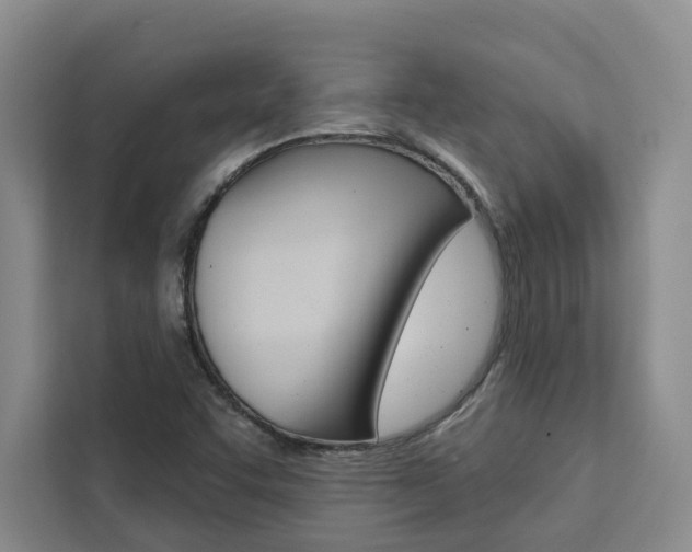 X0000111441455200907131011