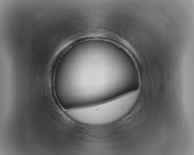 X0000111441456200907131011